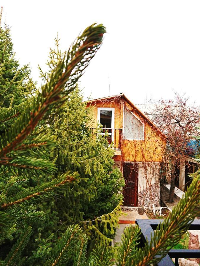 Petrovskaya Pristan 2 Otel Çolpan Ata Dış mekan fotoğraf